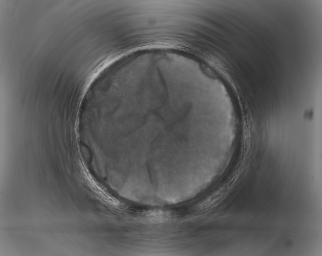 X0000115410797200912011339