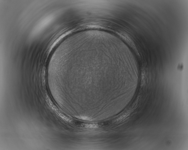 X0000115410798200912011339