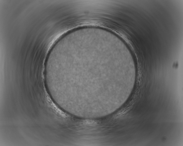 X0000115410799200912011339