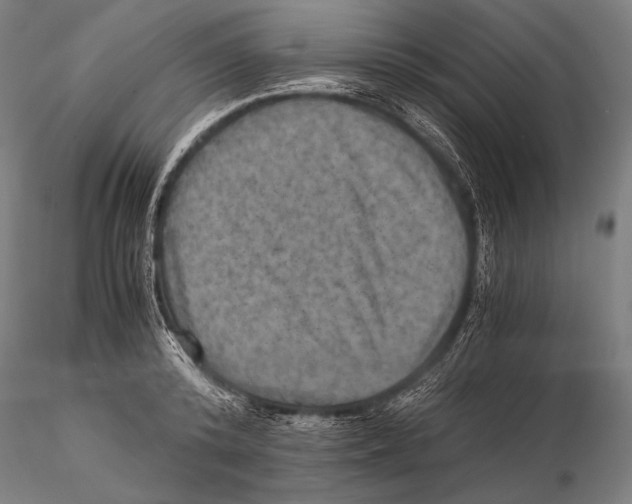 X0000115410800200912011339