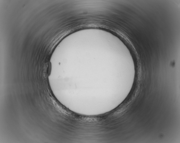 X0000115410801200912011339