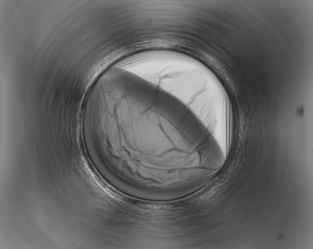 X0000115410802200912011339