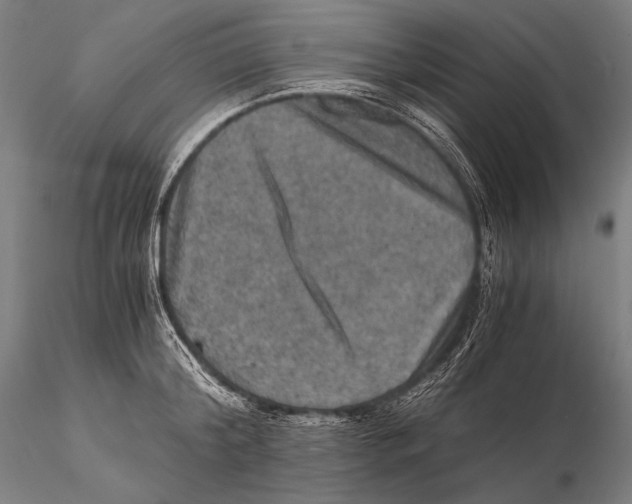 X0000115410804200912011339