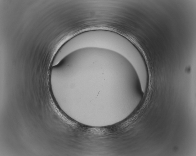 X0000115410805200912011339