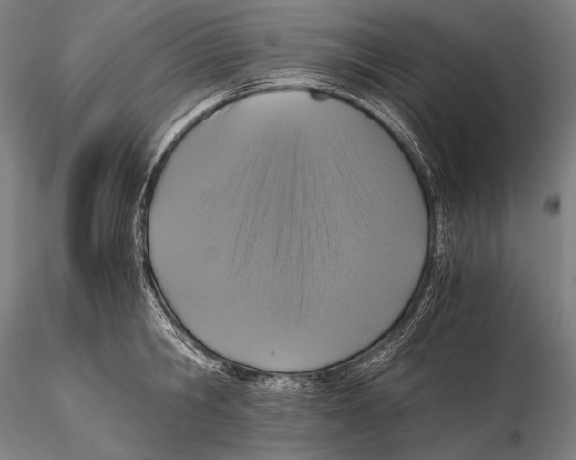 X0000115410806200912011339