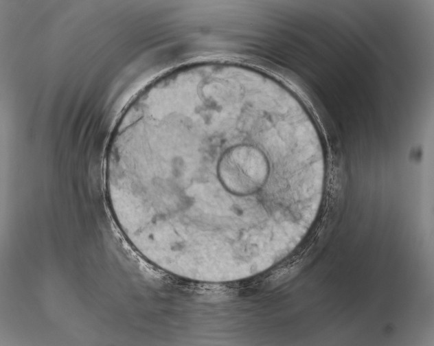 X0000115410807200912011339