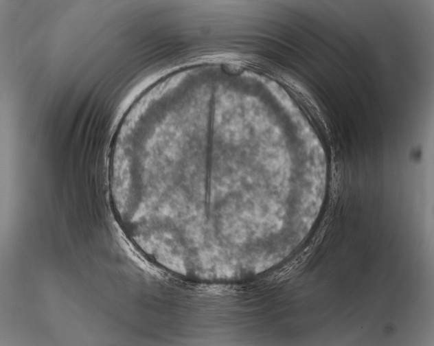 X0000115410808200912011339