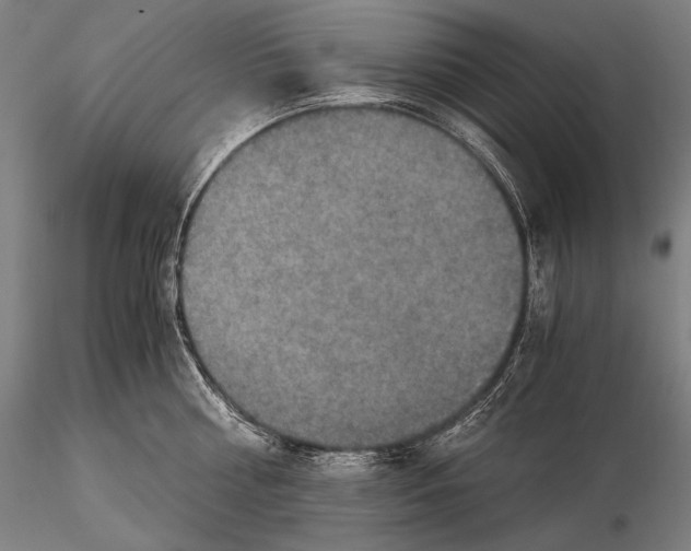 X0000115410810200912011339