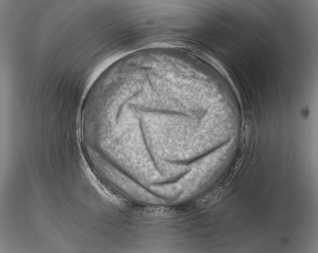 X0000115410811200912011339