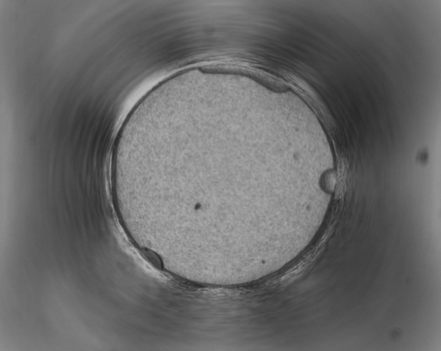 X0000115410812200912011339