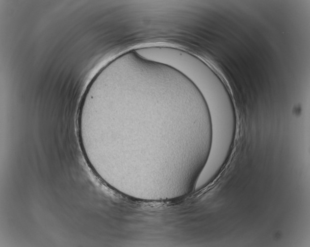 X0000115410813200912011339