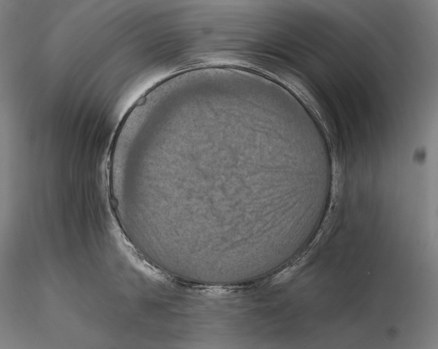 X0000115410814200912011339