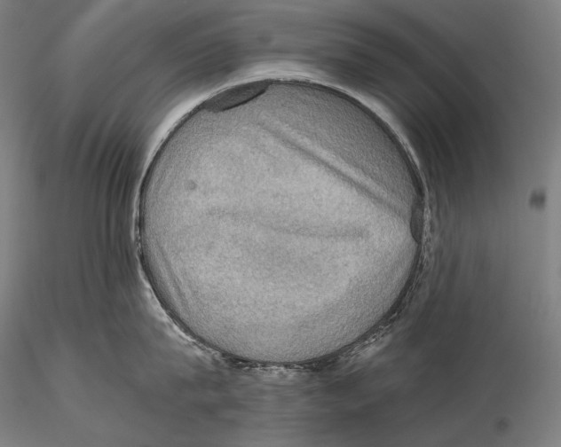 X0000115410815200912011339