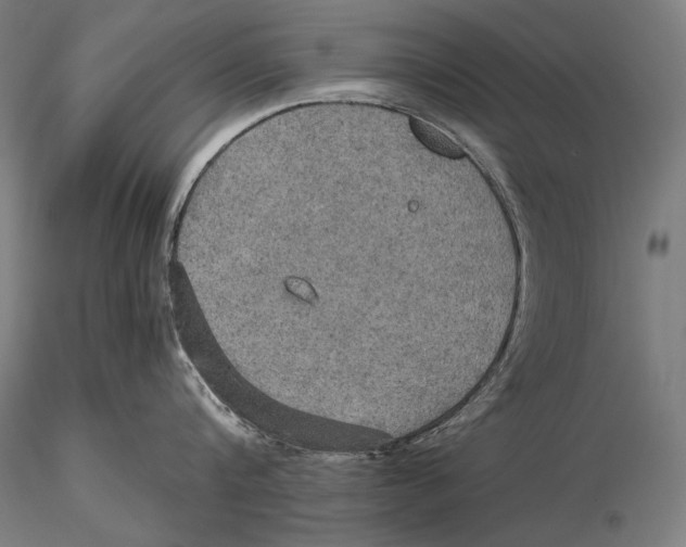 X0000115410816200912011339