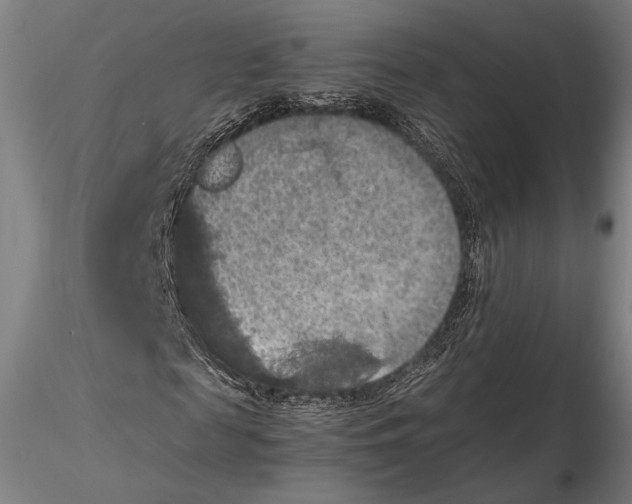 X0000115410817200912011338