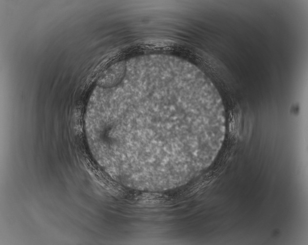 X0000115410819200912011338