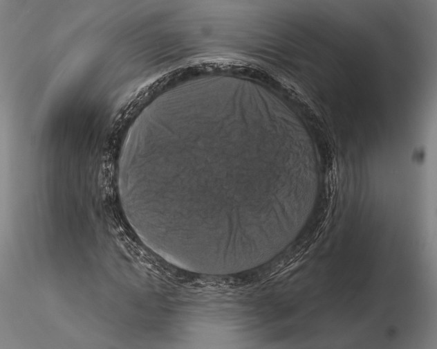 X0000115410822200912011338