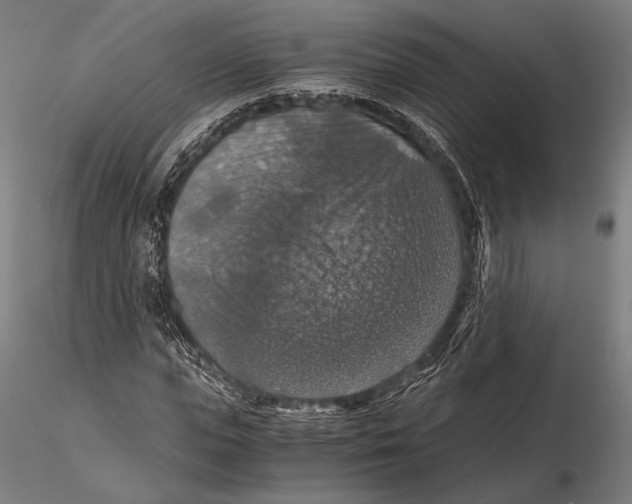 X0000115410823200912011338