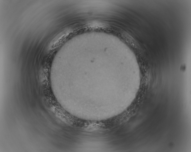 X0000115410824200912011338