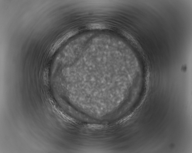 X0000115410825200912011338