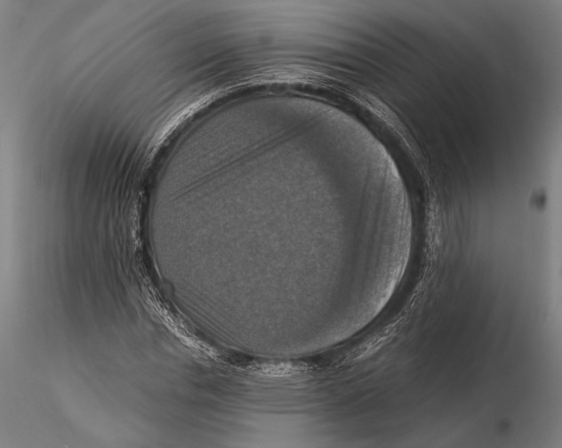 X0000115410826200912011338