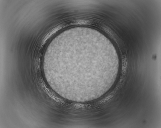 X0000115410827200912011338