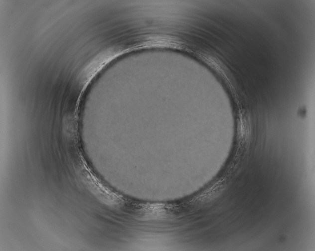 X0000115410828200912011338