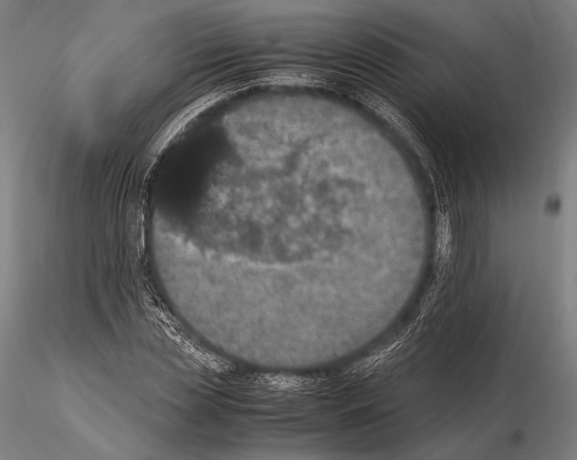 X0000115410829200912011338