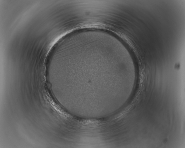 X0000115410830200912011338