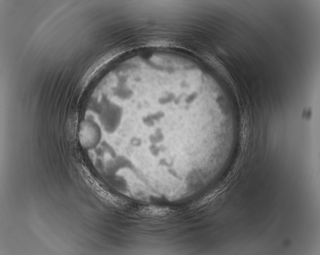 X0000115410831200912011338