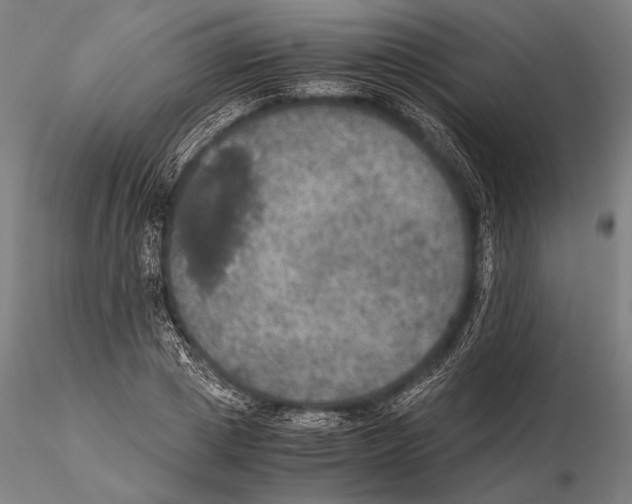 X0000115410833200912011338