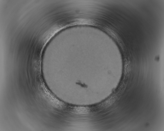 X0000115410836200912011338