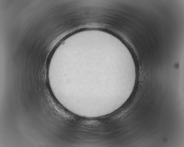 X0000115410837200912011338