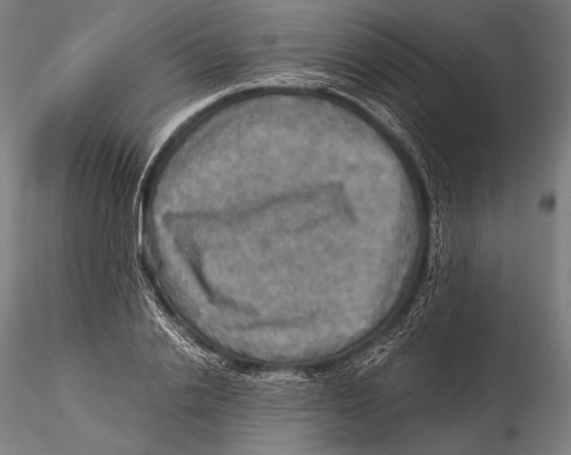 X0000115410838200912011338