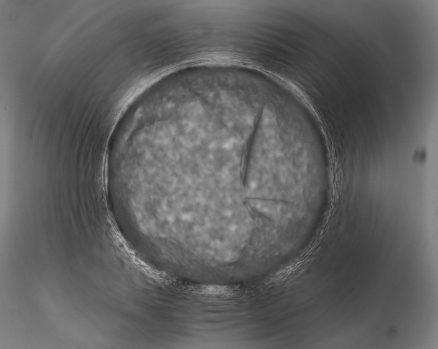 X0000115410839200912011338