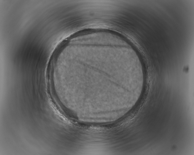 X0000115410840200912011338