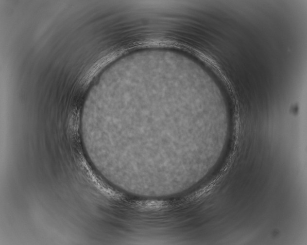 X0000115410841200912011338