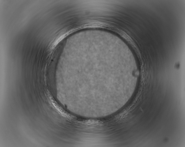 X0000115410842200912011338