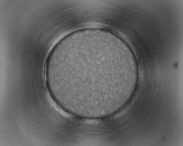 X0000115410843200912011338