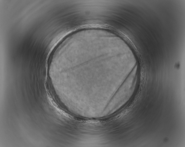 X0000115410844200912011338