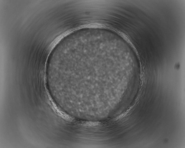 X0000115410845200912011338