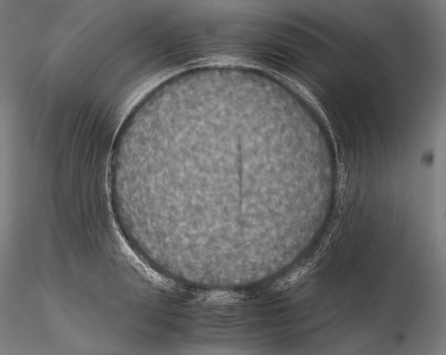 X0000115410847200912011338