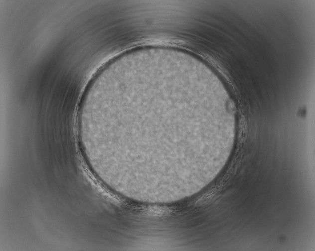 X0000115410848200912011338