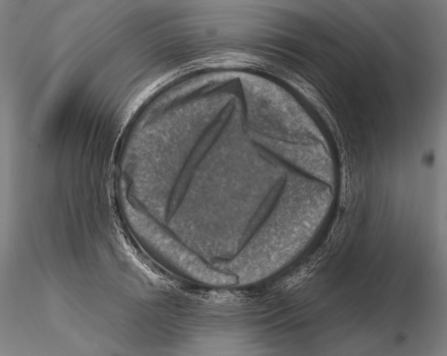 X0000115410850200912011339