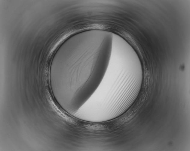 X0000115410851200912011339