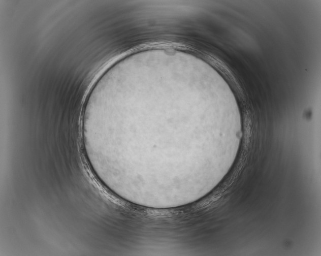 X0000115410852200912011339