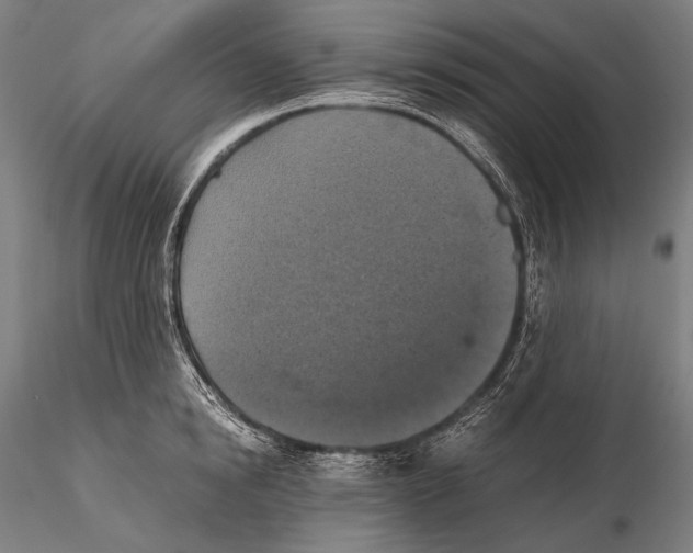 X0000115410854200912011339