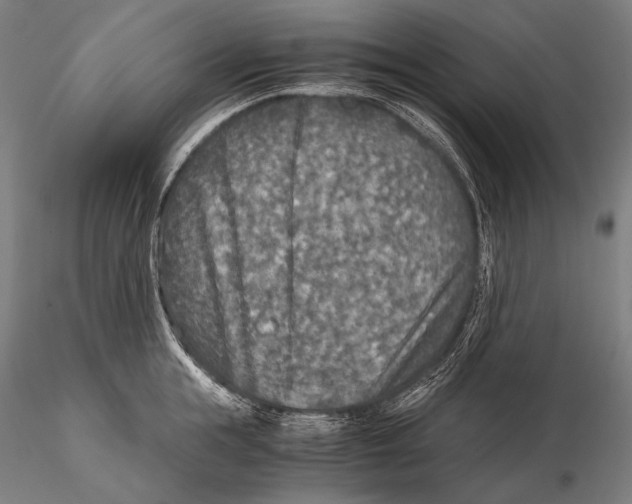 X0000115410855200912011339