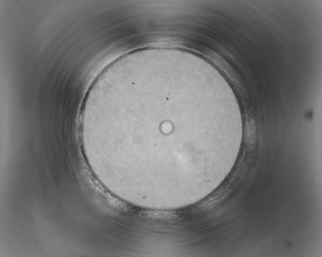 X0000115410856200912011339