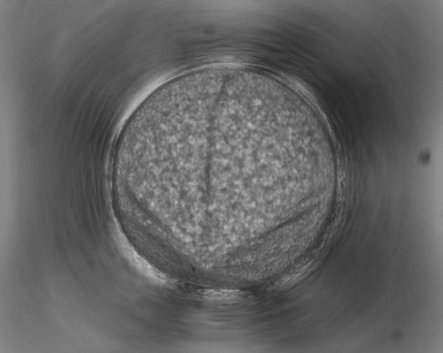 X0000115410859200912011339